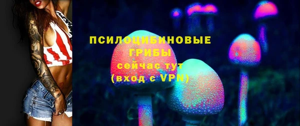 тгк Лиски