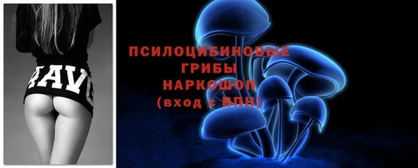 гашик Липки