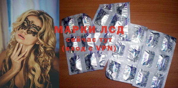 гашик Липки