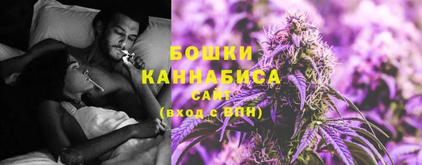 тгк Лиски