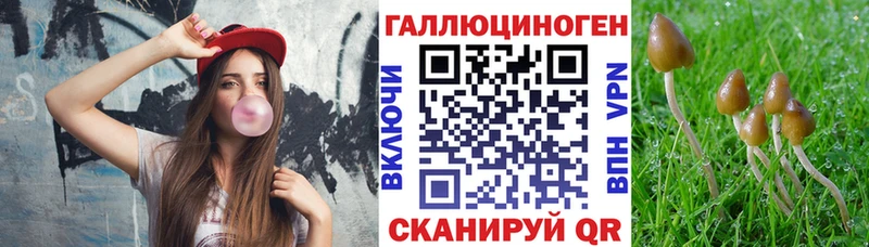 Купить закладки Циолковский Псилоцибиновые грибы мухоморы